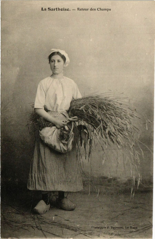 Carte postale ancienne La Sarthoise - Retour des Champs