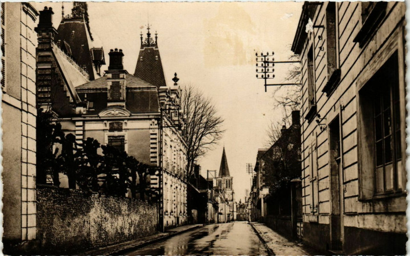 Carte postale ancienne Le Grand Luce - Rue du Mans