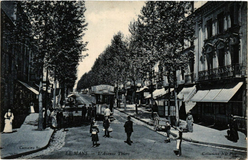 Carte postale ancienne Le Mans - L'Avenue Thiers au Mans