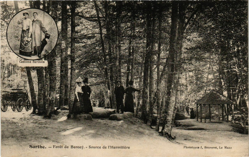 Carte postale ancienne Sarthe - Foret de BERCEy - Source de l'Hermitiere