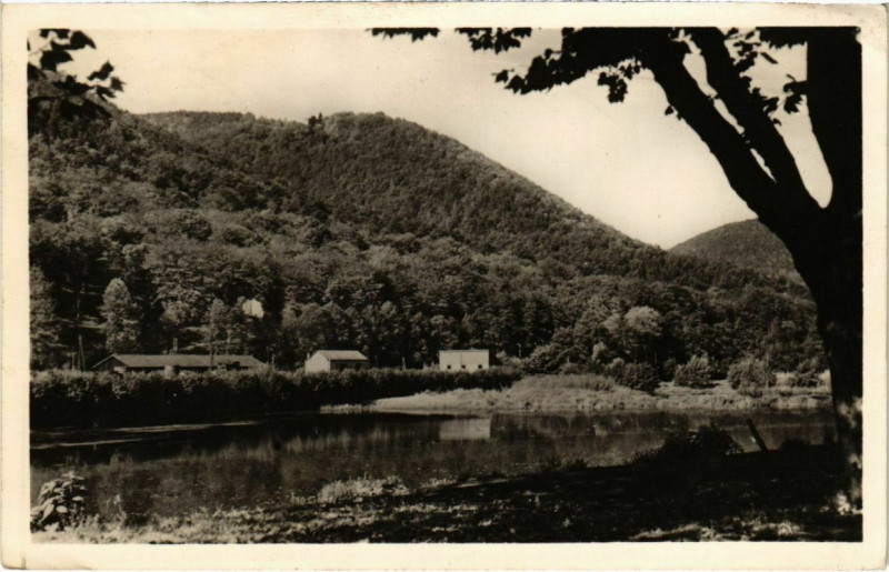 Carte postale ancienne Niederbronn - Etang pres de Niederbronn à Niederbronn-les-Bains