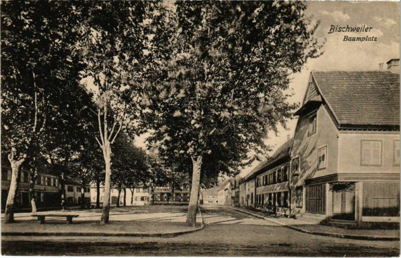 Carte postale ancienne Bischweiler - Baumplatz