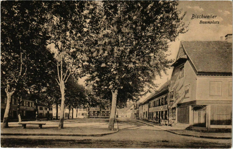 Carte postale ancienne Bischweiler - Baumplats