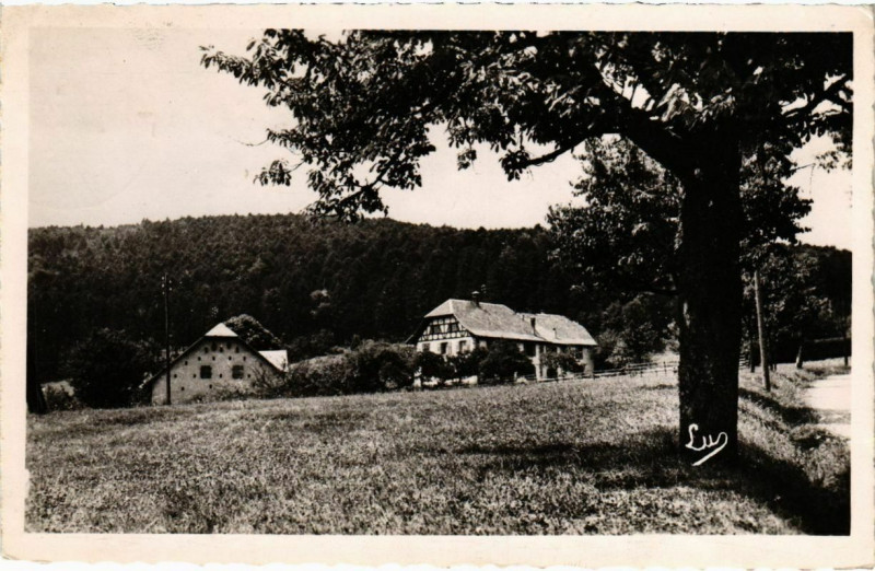 Carte postale ancienne Hohwald - Pension Georges Hazemann
