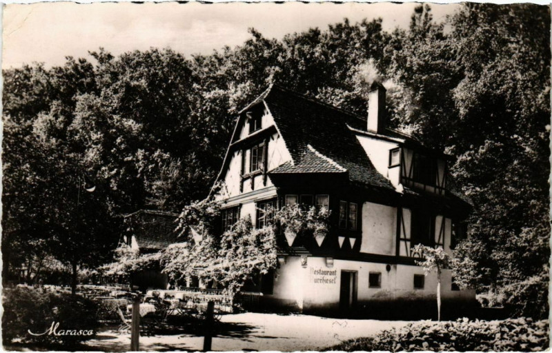 Carte postale ancienne Strasbourg - Parc de l'Orangerie à Strasbourg