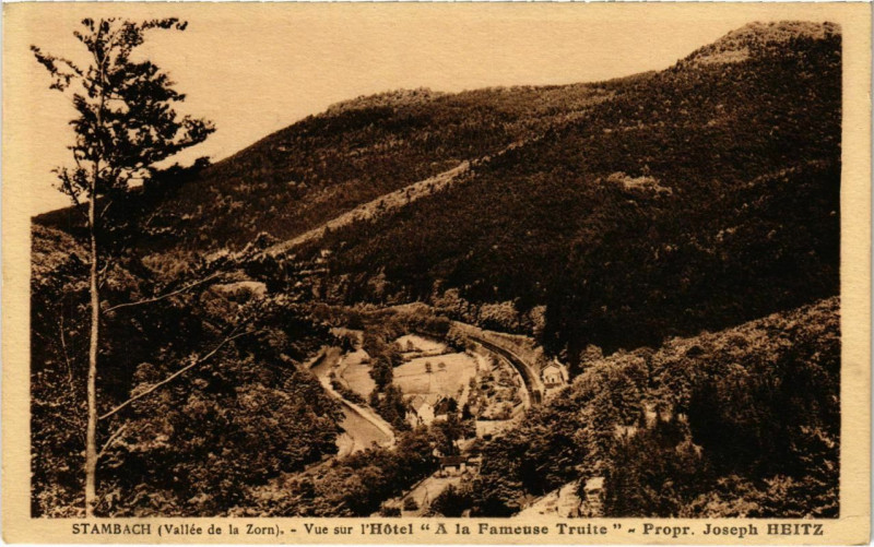 Carte postale ancienne Stambach - Vue sur l'Hotel