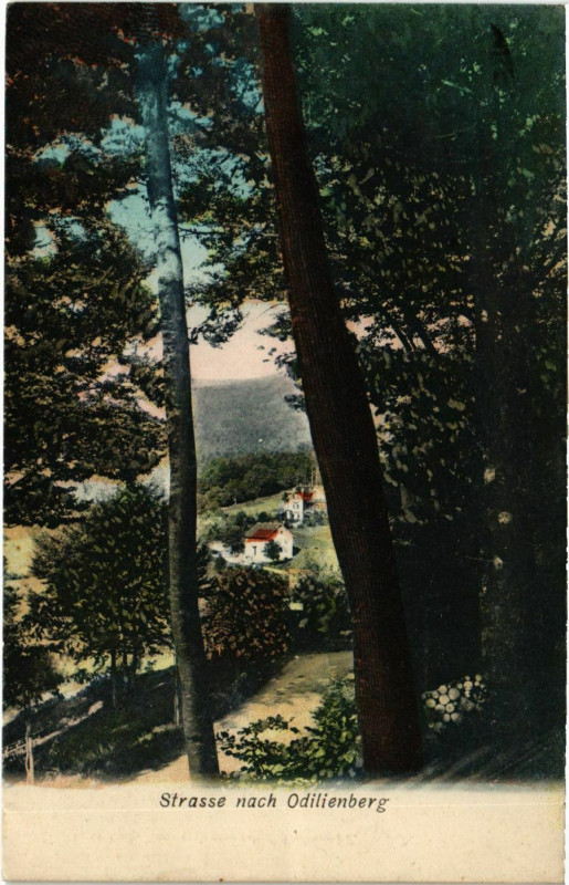 Carte postale ancienne Odilienberg à Berg