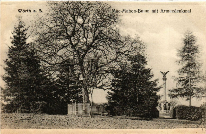 Carte postale ancienne Woerth - Worth a. S. - Mac-Mahon-Baum mit Arméedenkmal à Woerth