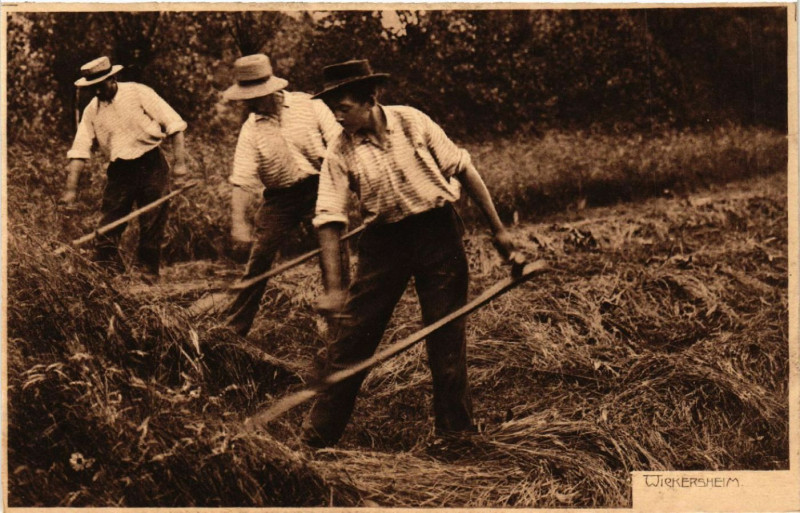 Carte postale ancienne Wickersheim-Wilshausen - Wickersheim - Folklore - Types à Wickersheim-Wilshausen