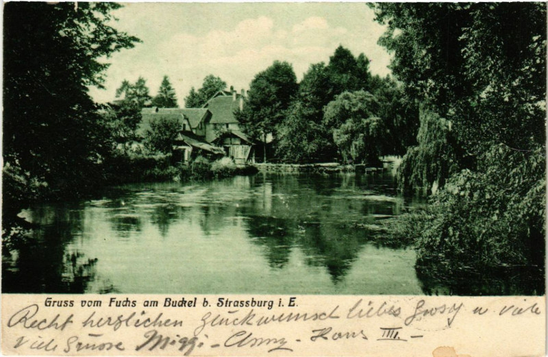 Carte postale ancienne Fuchs am Buckel - Scene - b. Strasbourg - Strassburg à Strasbourg