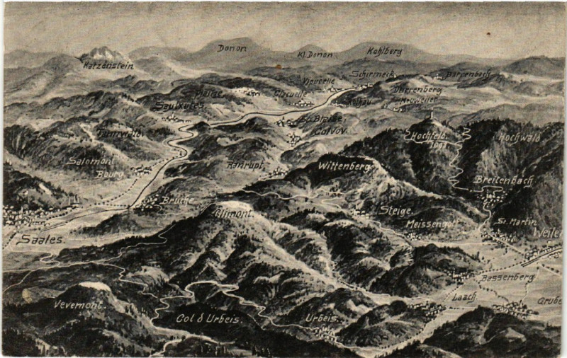 Carte postale ancienne Das Schlachtfeld in den Vogesen - Zwischen Saales und Weiler à Saales