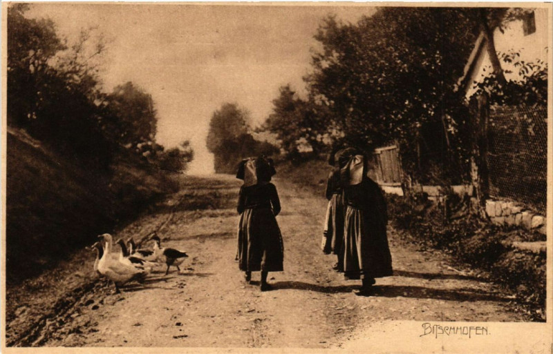 Carte postale ancienne Bitschhofen - Rue Scene - Folklore - Types