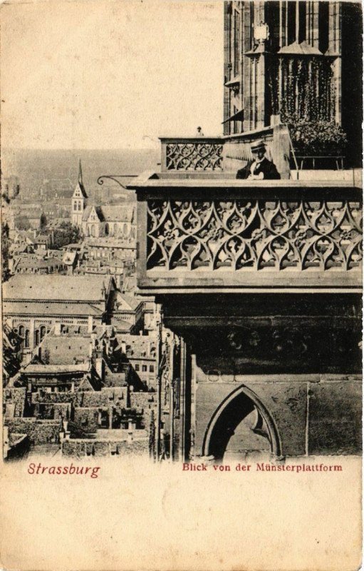 Carte postale ancienne Strassburg - Munster von der Munsterplattform