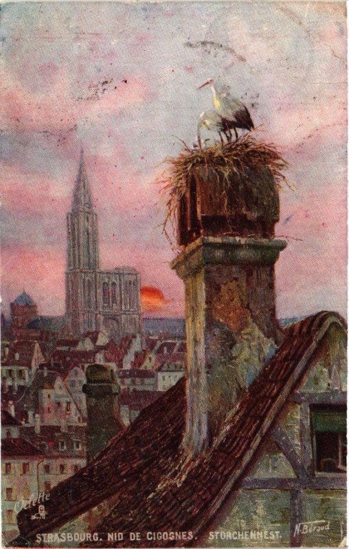 Carte postale ancienne Strasbourg nid de Cigognes à Strasbourg