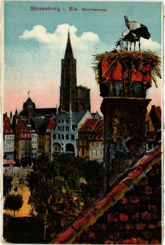 Carte postale ancienne Strassburg