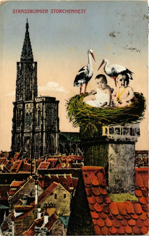 Carte postale ancienne STRASSBURGer Storchennest