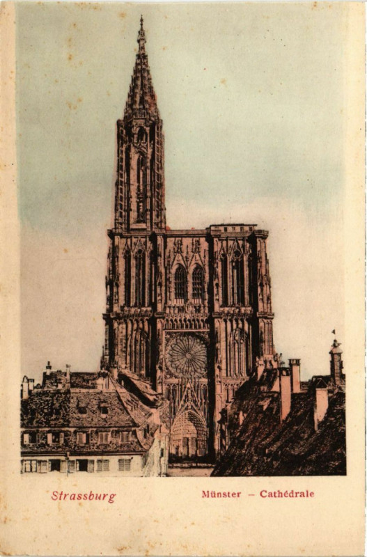 Carte postale ancienne Strassburg - Munster - Cathedrale