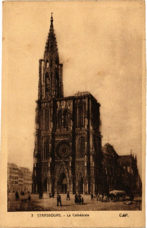 Carte postale ancienne Strasbourg - La Cathedrale à Strasbourg