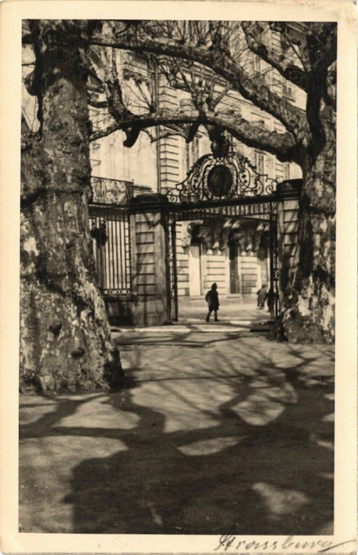 Carte postale ancienne Strassburg