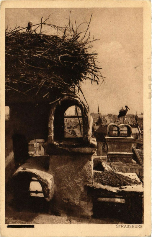 Carte postale ancienne Strassburg