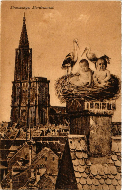 Carte postale ancienne STRASSBURGer - Storchennest