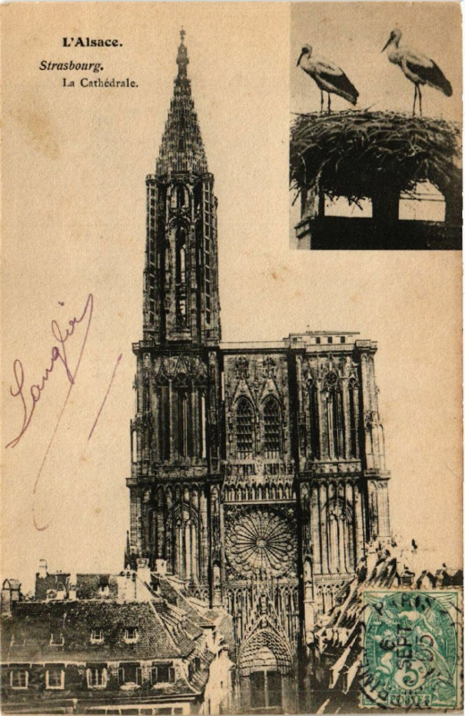 Carte postale ancienne Strasbourg - La Cathedrale à Strasbourg