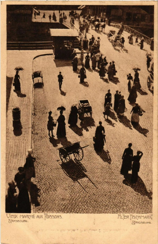 Carte postale ancienne Strasbourg Strassburg Vieux Marché aux Poissons Fischmarkt à Strasbourg
