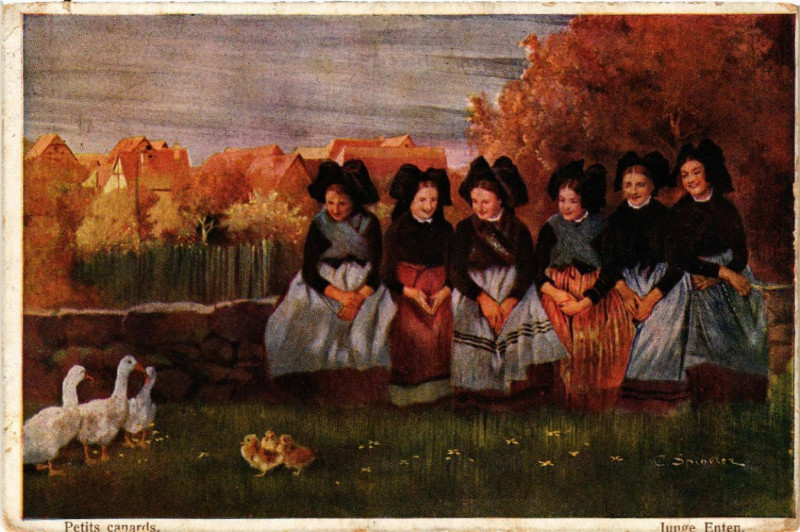 Carte postale ancienne Petits Canards - Junge Enten - Folklore - Types