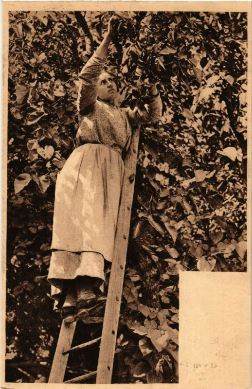 Carte postale ancienne Alsace - Elsass - Folklore - Type