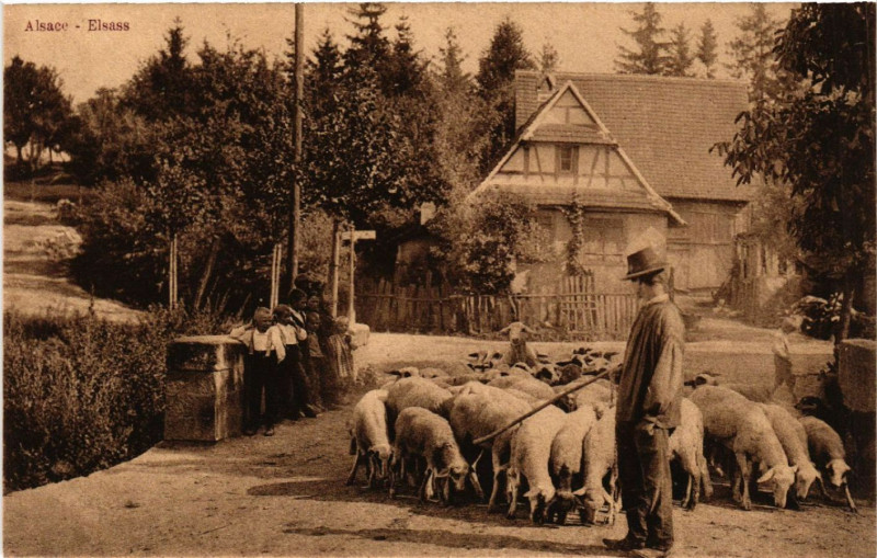 Carte postale ancienne Alsace - Elsass - Folklore - Type