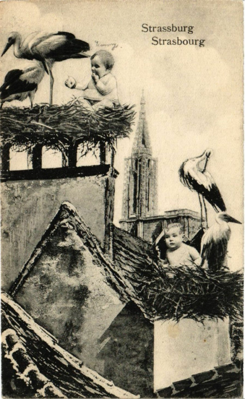 Carte postale ancienne Strasbourg à Strasbourg