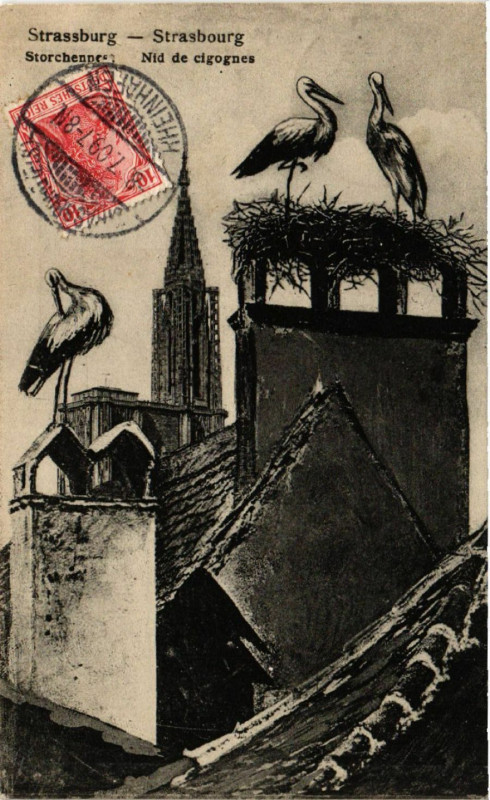 Carte postale ancienne Strassburg - Storcehnnest