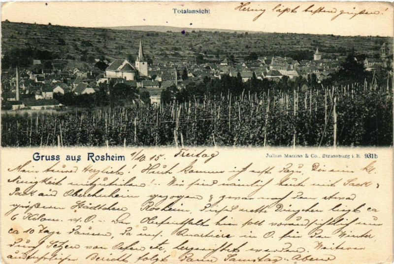 Carte postale ancienne Gruss aus Rosheim à Rosheim