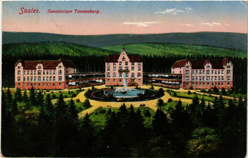 Carte postale ancienne Saales. Sanatorium Tannenberg à Berg