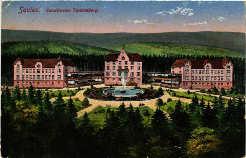 Carte postale ancienne Saales. Sanatorium Tannenberg à Berg