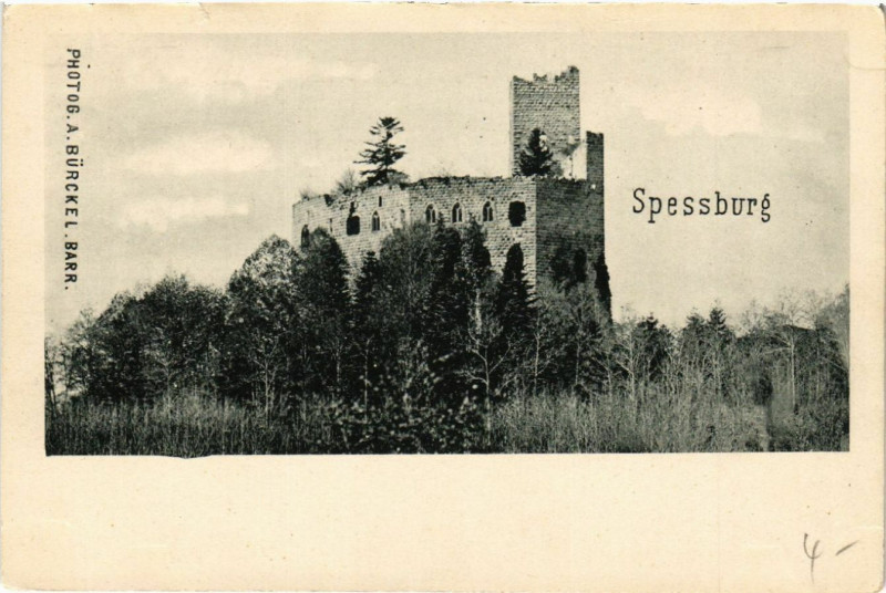 Carte postale ancienne Spessburg