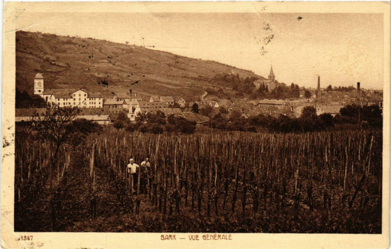 Carte postale ancienne Barr - Vue générale à Barr