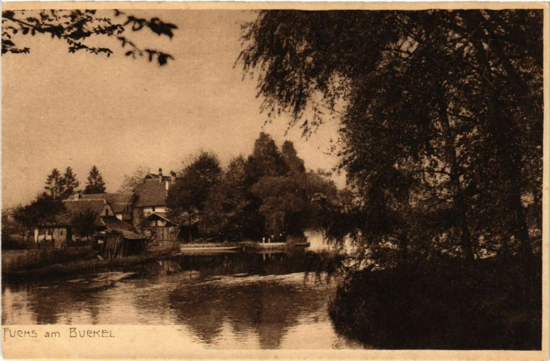 Carte postale ancienne Fuchs am Buckel