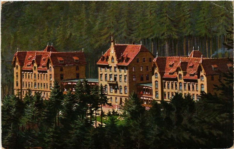 Carte postale ancienne Sanatorium Tannenberg à Berg