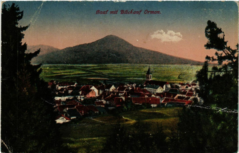 Carte postale ancienne Saal mit Blickauf Ormon