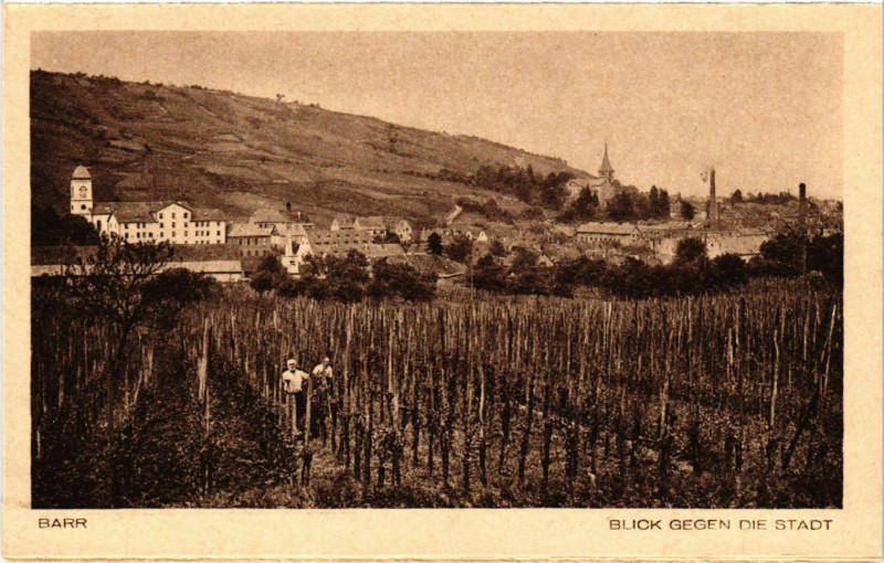 Carte postale ancienne Barr-Blick Gegen die Stadt à Barr