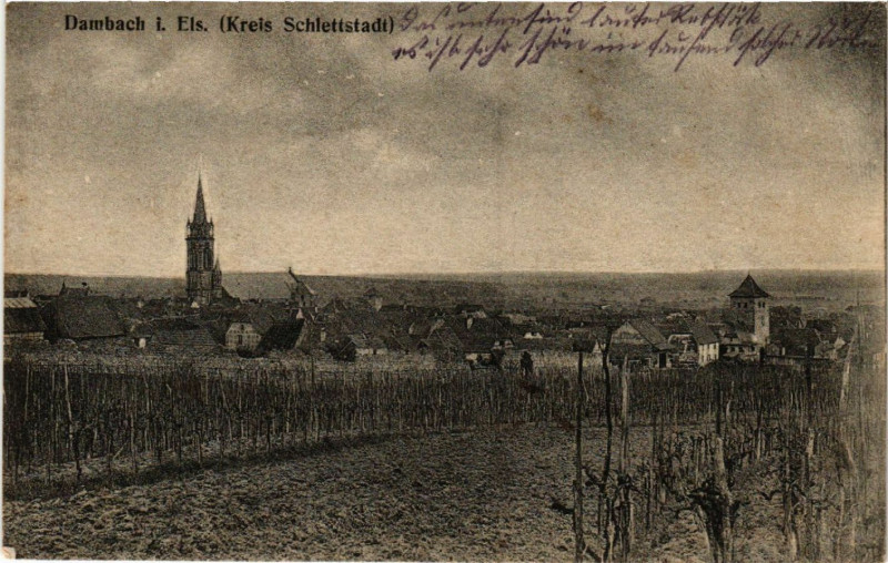 Carte postale ancienne Dambach i. Els. à Dambach