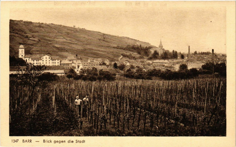 Carte postale ancienne Barr - Blick gegen die Stadt à Barr