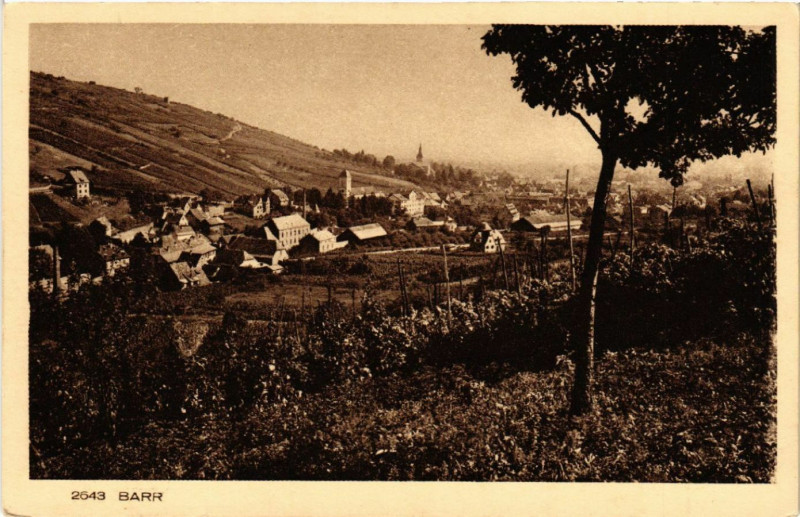 Carte postale ancienne Barr à Barr