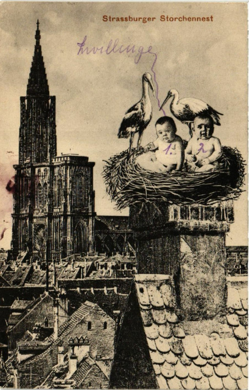 Carte postale ancienne Starssburger Storchennest