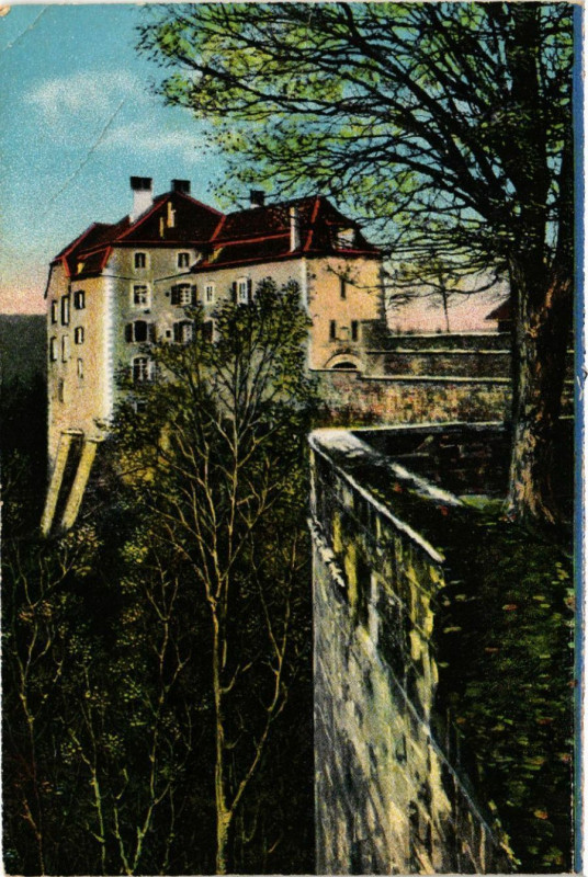 Carte postale ancienne Lutzelstein (Vogesen) - Altes Schloss