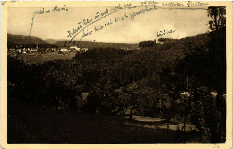 Carte postale ancienne Wangenbourg-Panorama à Wangen