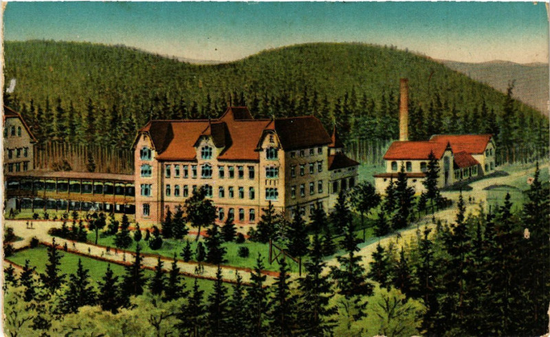 Carte postale ancienne Sanatorium Tannenberg b. Saales à Saales