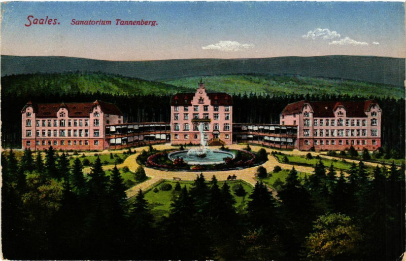 Carte postale ancienne Saales-Sanatorium Tannenberg à Saales