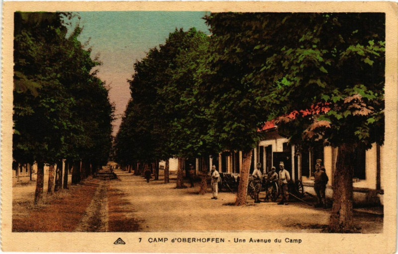 Carte postale ancienne Camp d'Oberhoffen Une Avenue du Camp à Hoffen